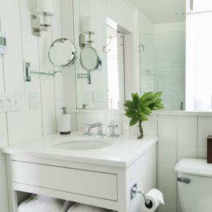 A modern white bathroom with a sink, wall mirror, round magnifying mirror, soap dispenser, green leafy plant in a vase, towel shelf below, and a toilet partially visible on the right—perfect for that now or never refresh.