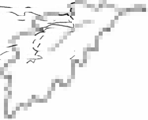 A simple, black-and-white line drawing of a single feather with visible curves and detailed barbs, set against a plain white background—evoking the natural elegance of a Farm to Table Menu in Vermont.