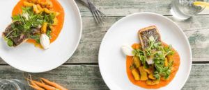 Two white plates with seared fish on orange sauce, roasted vegetables, greens, and cream sit on a rustic table—an inviting scene of fine dining in Stowe, complete with a fork, glass of water, and fresh carrots nearby.