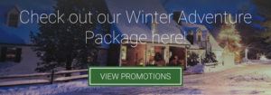 A snowy winter scene of houses at dusk with warm lights. Text reads, Discover Cross Country Ski Trails in Stowe Vermont—check out our Winter Adventure Package here. A green button below says, View Promotions.