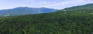 A dense green forest stretches across the foreground, with Vermont’s mountain range and ski trails visible in the distance under a blue sky—a perfect scene for Day Hikes in Stowe, Vermont.