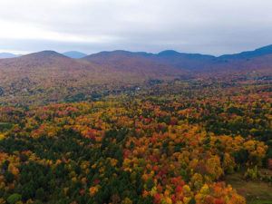 Aerial view of a vast forest during Autumn in New England, with trees displaying vibrant red, orange, yellow, and green hues. Rolling hills and distant mountains unfold beneath a dramatic cloudy sky.