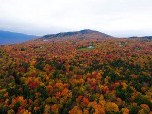 Aerial view of a forested landscape in autumn, with trees displaying vibrant red, orange, and yellow foliage, and a mountain in the background under a cloudy sky—capturing the essence of Autumn In New England.
