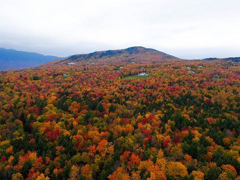 Autumn In New England