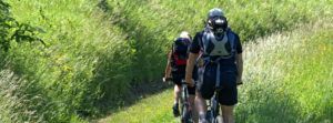 Three cyclists ride single file on mountain bikes along a narrow, grassy path surrounded by tall green grass and wildflowers on a sunny day.