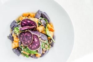 A plated dish embodying casual fine dining, featuring vibrant purple potato slices, orange squash chunks, leafy greens, and sunflower seeds, all arranged artfully on a white plate.