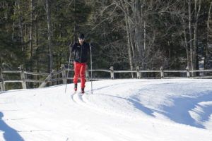 A person enjoys cross country skiing on a snowy trail, wearing red pants, a black jacket, and sunglasses. Leafless trees and a wooden fence line the background under clear sunlight.