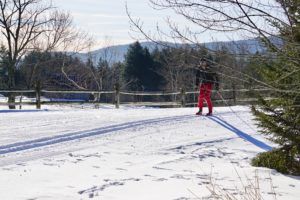 A person in red pants and a dark jacket enjoys cross country skiing on a sunny, snowy path lined with trees, a wooden fence, and hills in the background.