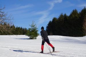 A person in winter clothing and red ski pants enjoys cross country skiing on a snowy trail through a field, with evergreen trees and a blue sky in the background.