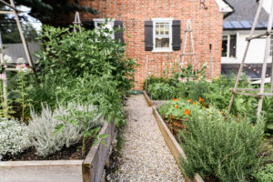 A gravel pathway runs between raised garden beds filled with green plants and herbs, creating a serene backyard oasis reminiscent of a Vermont Vacation, beside a brick house with black shutters and white trim.