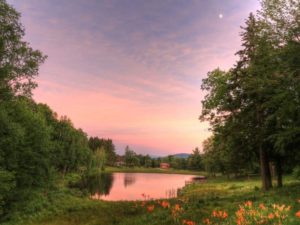 A serene pond surrounded by lush green trees at sunset, with a pink and purple sky, a few orange flowers in the foreground, and a small building in the distance.