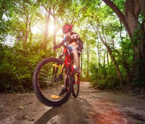 A child wearing a helmet rides a red mountain bike on a dirt path through a sunlit, green forest, carefully balancing small packages in the basket as sunlight streams through the trees.