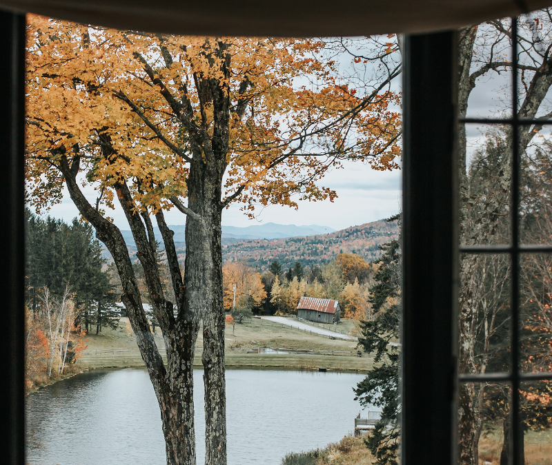 Window view of fall trees and lake.