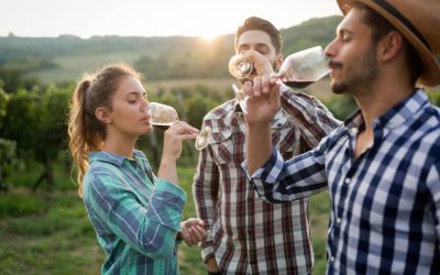 The Best Wineries in Vermont near Stowe