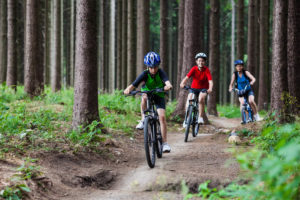 Three children wearing helmets ride mountain bikes along a dirt trail through a dense forest in Stowe VT, surrounded by tall trees and green foliage—perfect for those seeking outdoor fun during upcoming events.