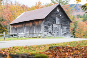 An old wooden barn with weathered gray boards stands beside a rural road near Edson Hill - Stowe Vermont Inn, bordered by a rustic fence and vibrant autumn trees. Fallen leaves blanket the ground in the foreground.