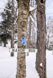 A tree in a snowy forest features a sign reading MANOR RUN and a blue trail marker with a skier symbol and arrow, marking this as a cross country skiing trail. Snow blankets the ground and trees in the peaceful winter landscape.