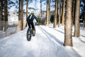 A person wearing a helmet rides a fat-tire bike on a snow-covered trail, sharing the wintry forest with cross country skiing enthusiasts beneath tall pine trees on a sunny winter day.