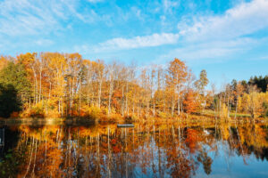 A calm lake reflects colorful autumn trees with orange, yellow, and red leaves under a bright blue sky with scattered clouds. Nearby, a small floating dock sits on the water, where packages rest untouched in the tranquil scene.