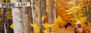 A wooden trail sign reading POND LOOP is nailed to a birch tree in a forest with vibrant yellow and orange autumn foliage near Edson Hill - Stowe Vermont Inn. Two hikers with backpacks walk along a leaf-covered trail in the distance.