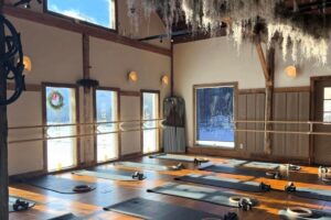 A bright yoga studio with wooden floors, yoga mats neatly arranged, exercise rings, wall-mounted barres, large windows letting in sunlight, decorative hanging moss from the ceiling, and new reservation enhancements for a seamless booking experience.