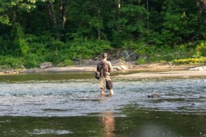 A person stands in shallow water fly fishing, facing away, surrounded by lush green trees and a rocky riverbank, fully immersed in a tranquil watersports experience.