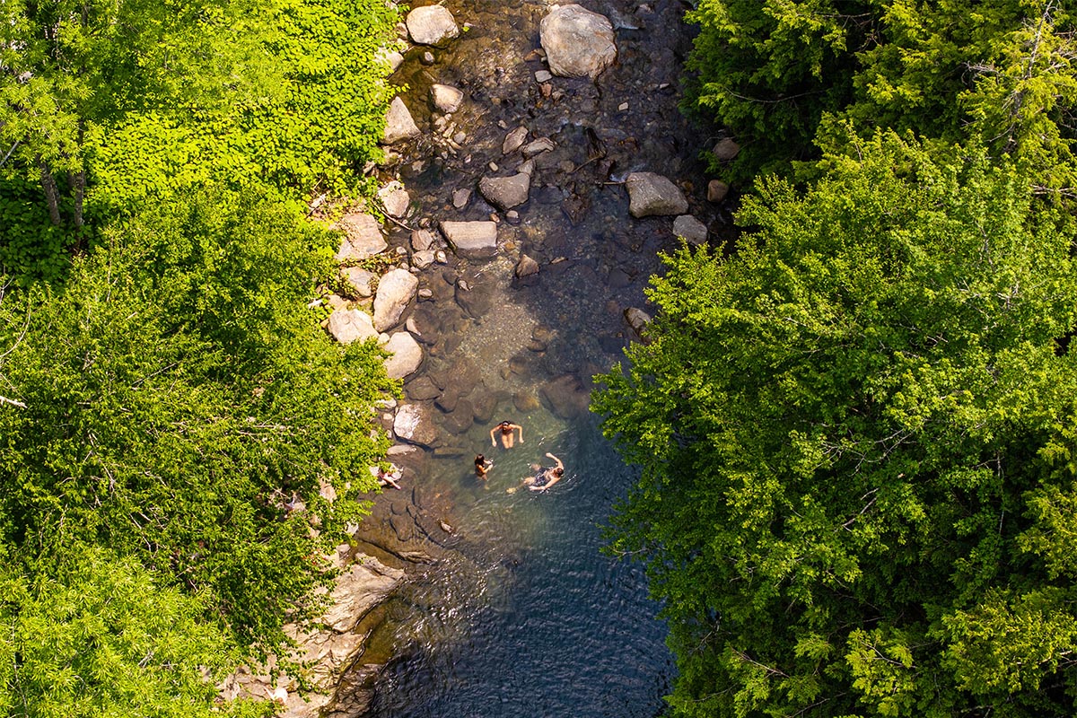 Aerial view of four people swimming and relaxing in a clear, rocky stream surrounded by dense green trees and foliage.